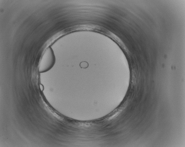 X0000082690802200702232203