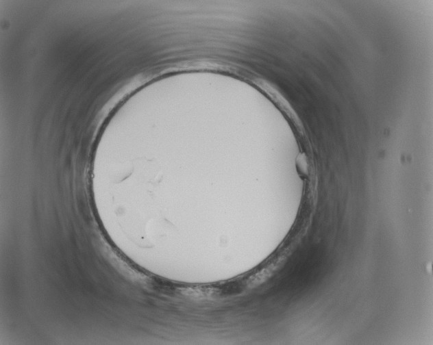 X0000082690805200702232203