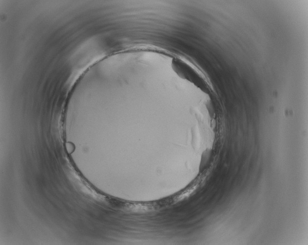 X0000082690806200702232203