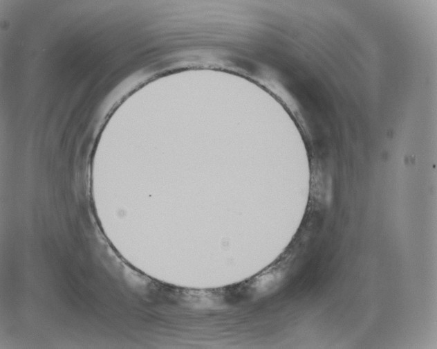 X0000082690807200702232203