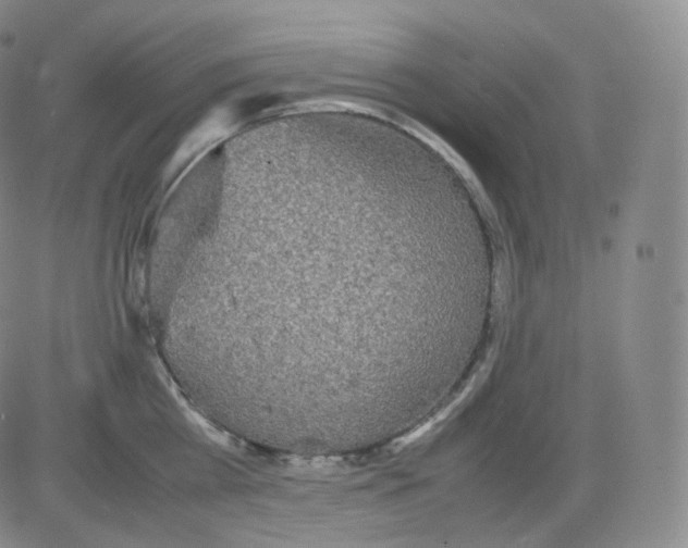 X0000082690809200702232203