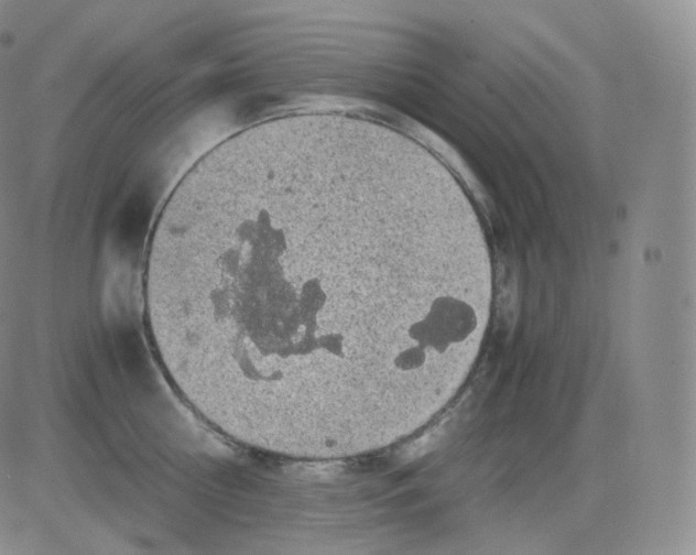 X0000082690810200702232203