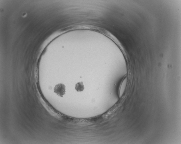 X0000082690811200702232203