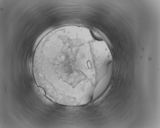 X0000082690812200702232203