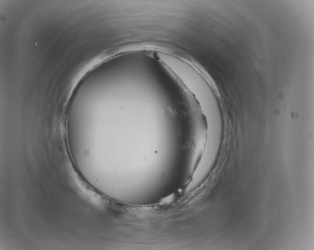 X0000082690813200702232203