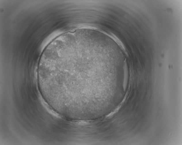 X0000082690814200702232203