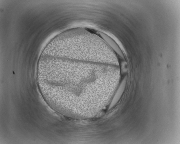 X0000082690815200702232203