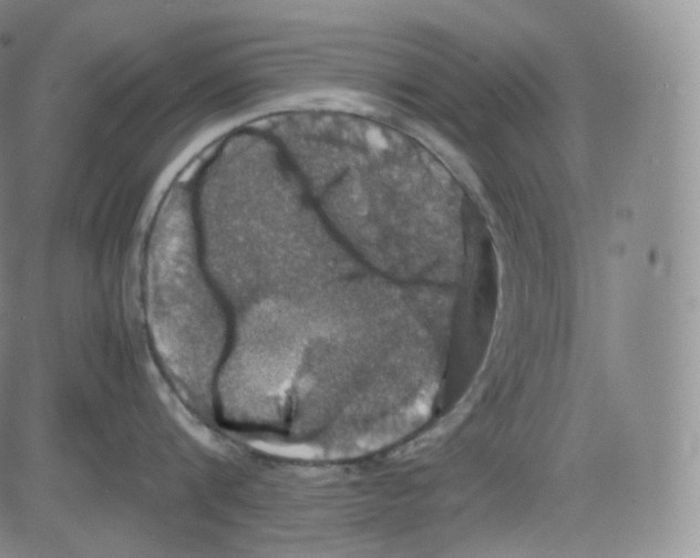 X0000082690816200702232203