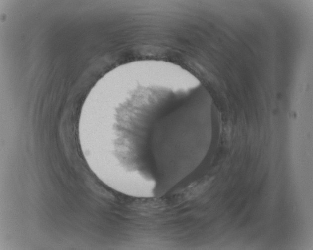 X0000082690817200702232202