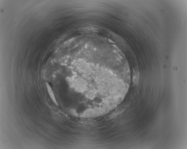 X0000082690819200702232202