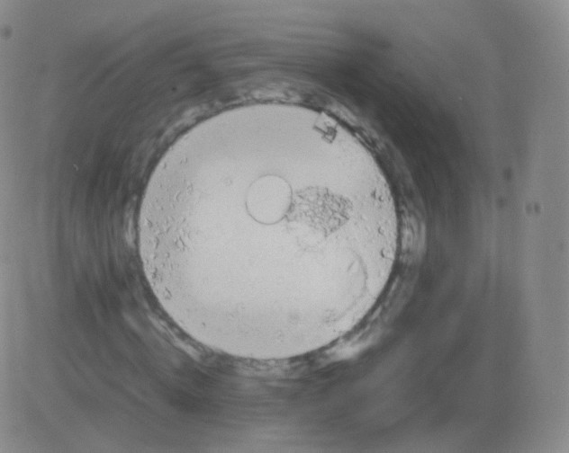 X0000082690820200702232202