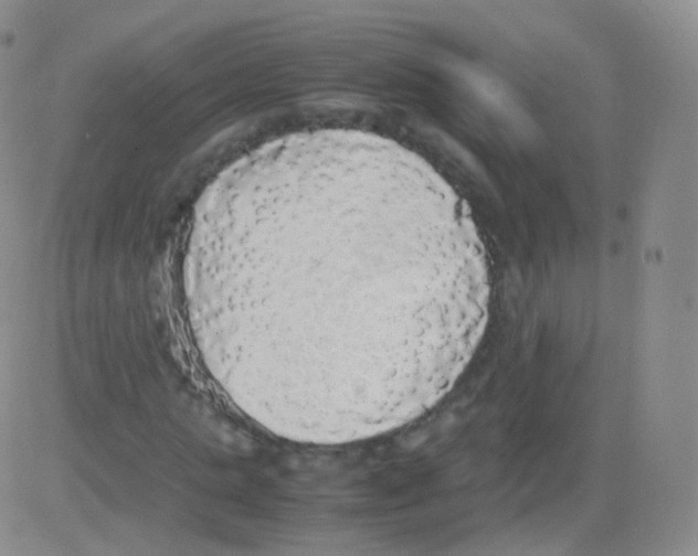 X0000082690821200702232202