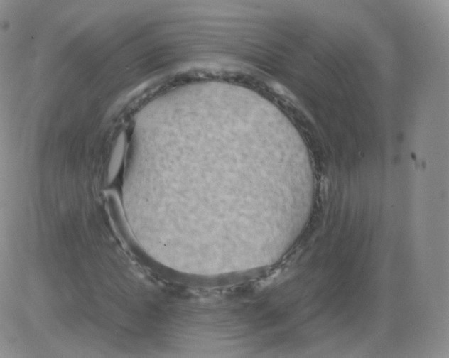 X0000082690822200702232202