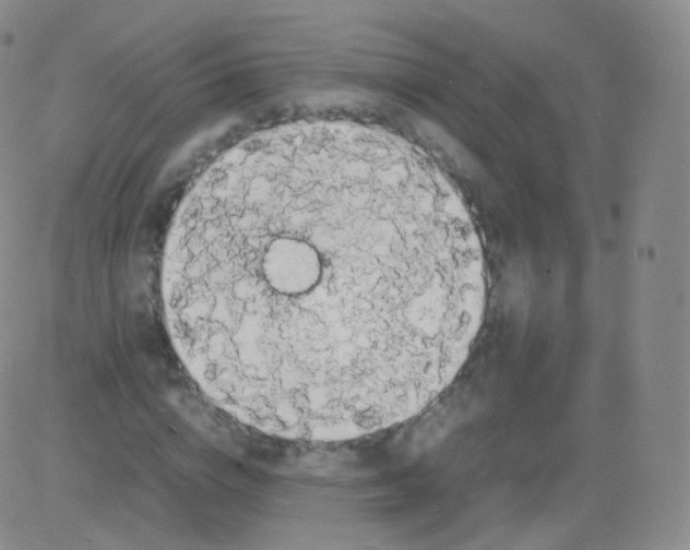 X0000082690824200702232202