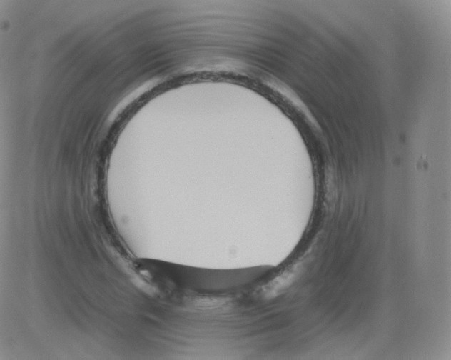 X0000082690826200702232202