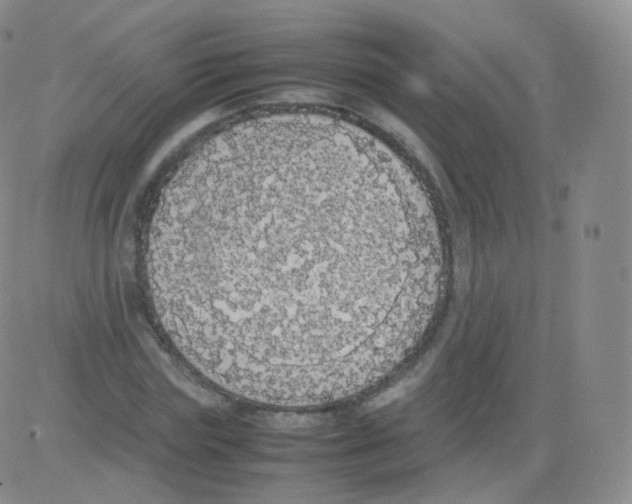 X0000082690827200702232202