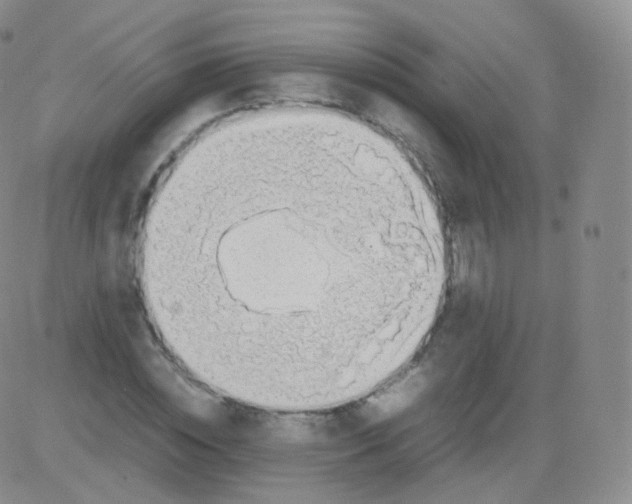 X0000082690828200702232202