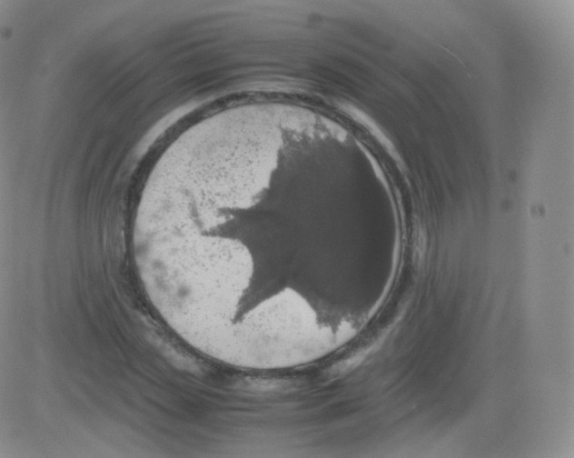 X0000082690829200702232202