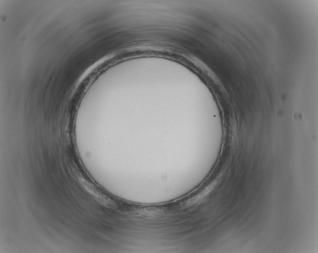 X0000082690830200702232202