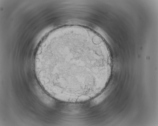 X0000082690832200702232202