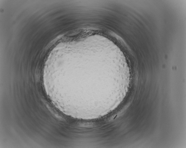 X0000082690833200702232202