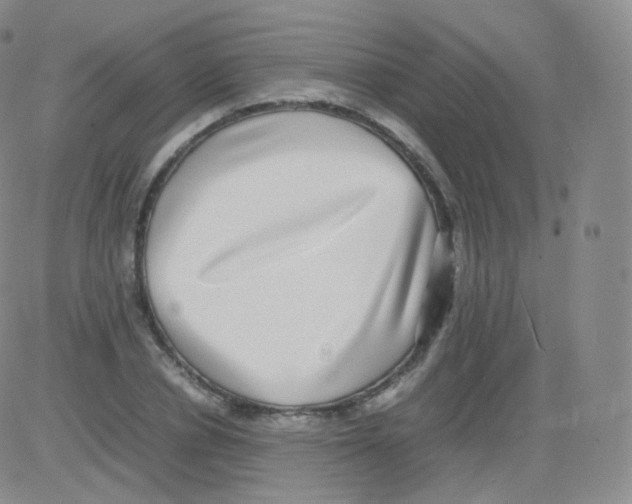 X0000082690834200702232202