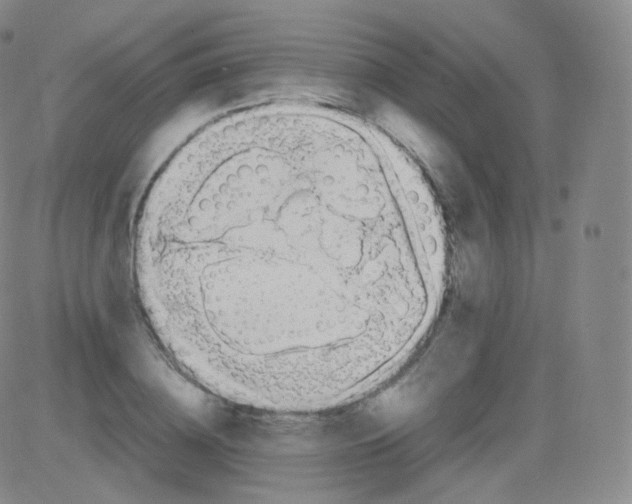 X0000082690836200702232202