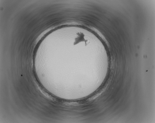 X0000082690837200702232202