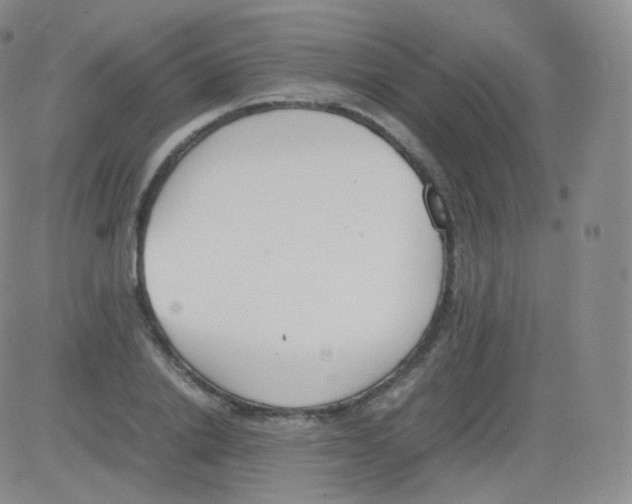 X0000082690838200702232202