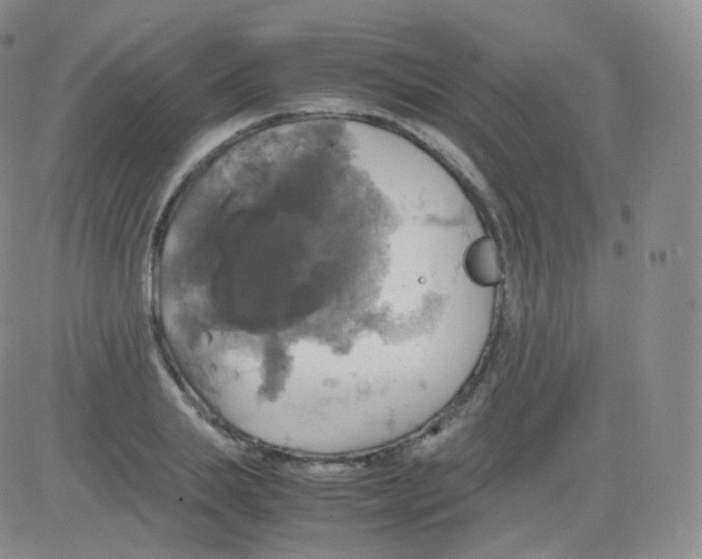 X0000082690839200702232202