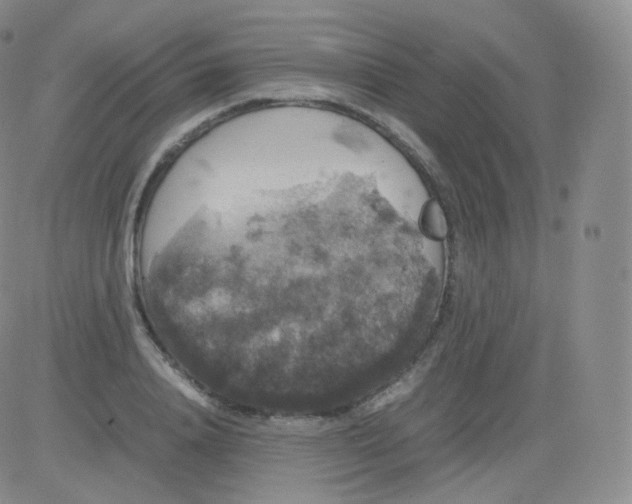 X0000082690840200702232202