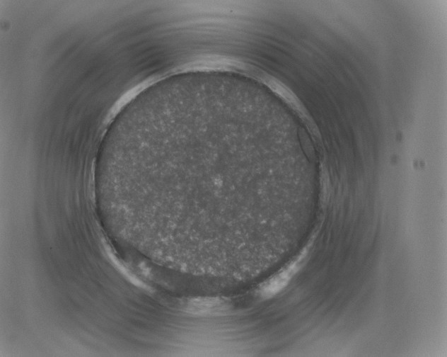 X0000082690842200702232202