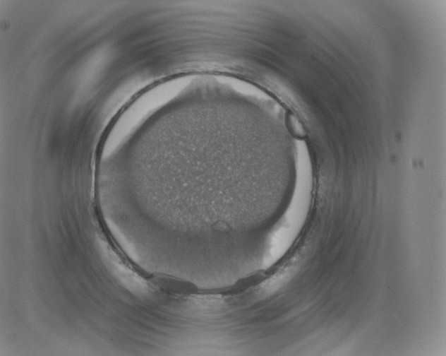 X0000082690844200702232202