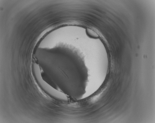 X0000082690845200702232202