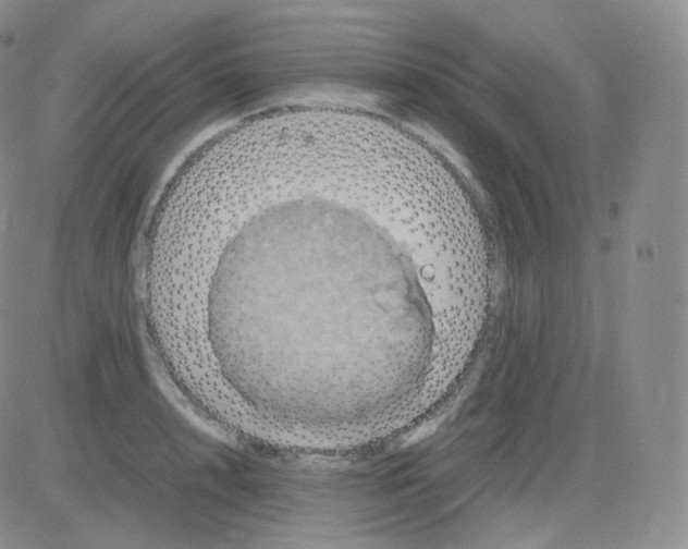 X0000082690848200702232202