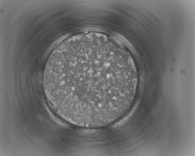 X0000082690849200702232202