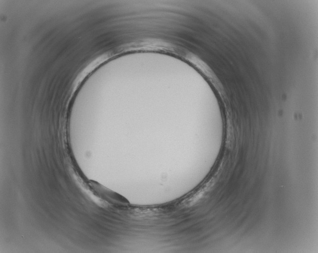 X0000082690850200702232202