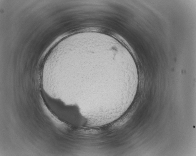 X0000082690851200702232202