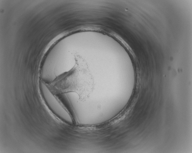 X0000082690853200702232202