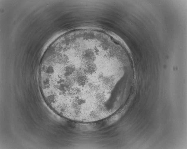 X0000082690855200702232202