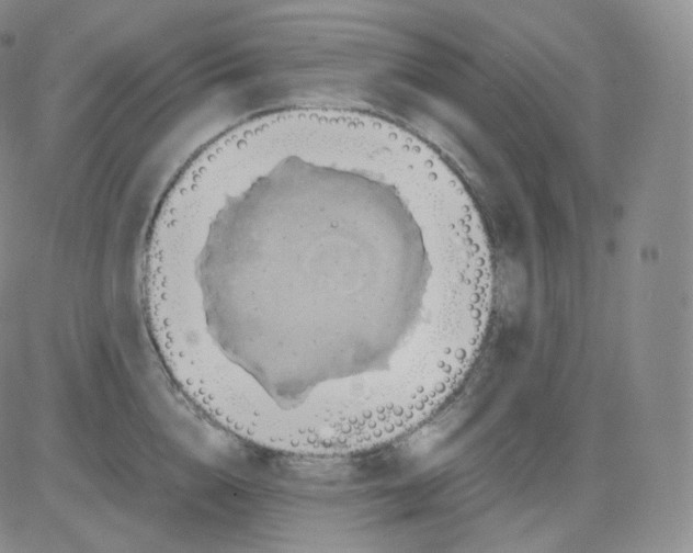 X0000082690856200702232202