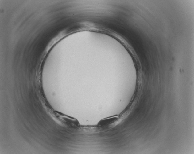 X0000082690858200702232203