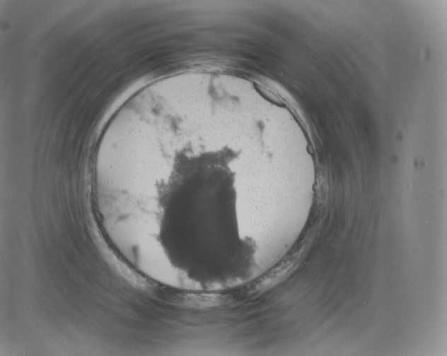 X0000082690859200702232203