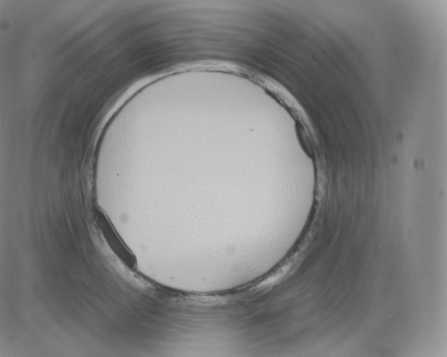 X0000082690860200702232203