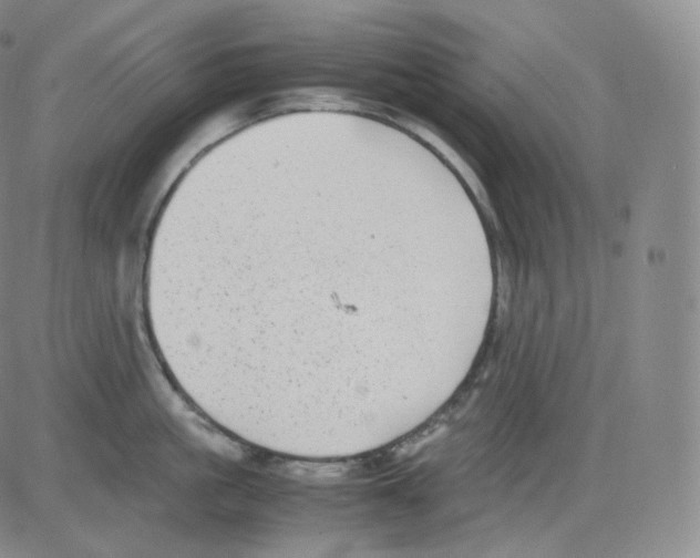 X0000082690861200702232203