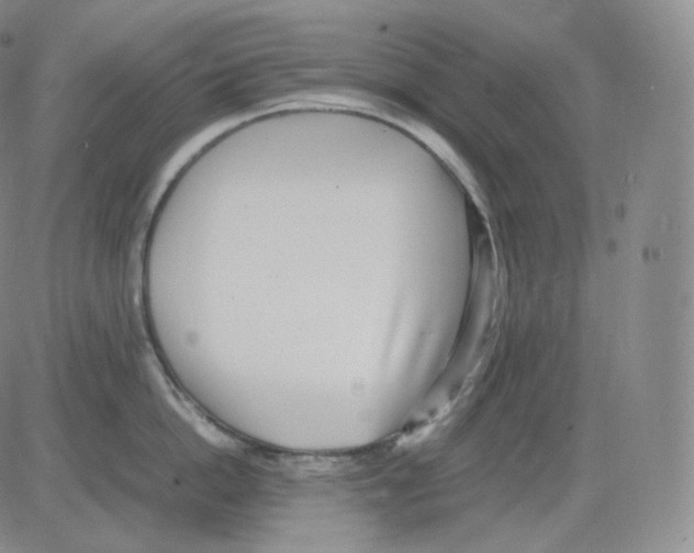 X0000082690862200702232203