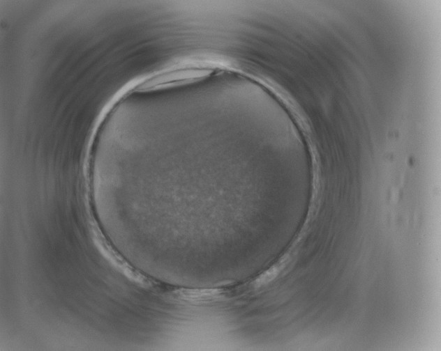 X0000082690864200702232203