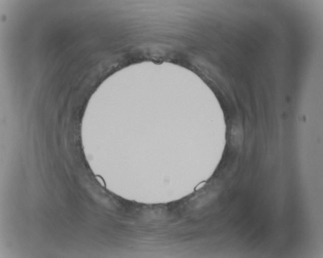 X0000082690865200702232202