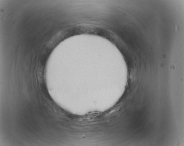 X0000082690867200702232202