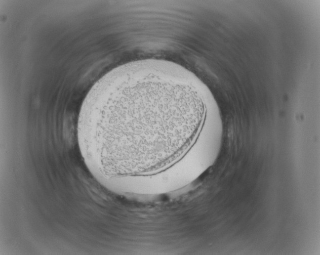 X0000082690868200702232202